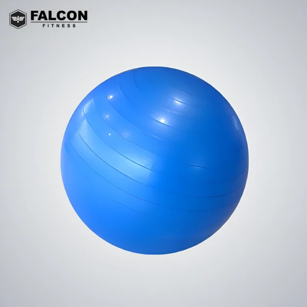 pelota de yoga fitness maquinas de gym maquinas para hacer ejercicio Gym en casa falcon fitness
