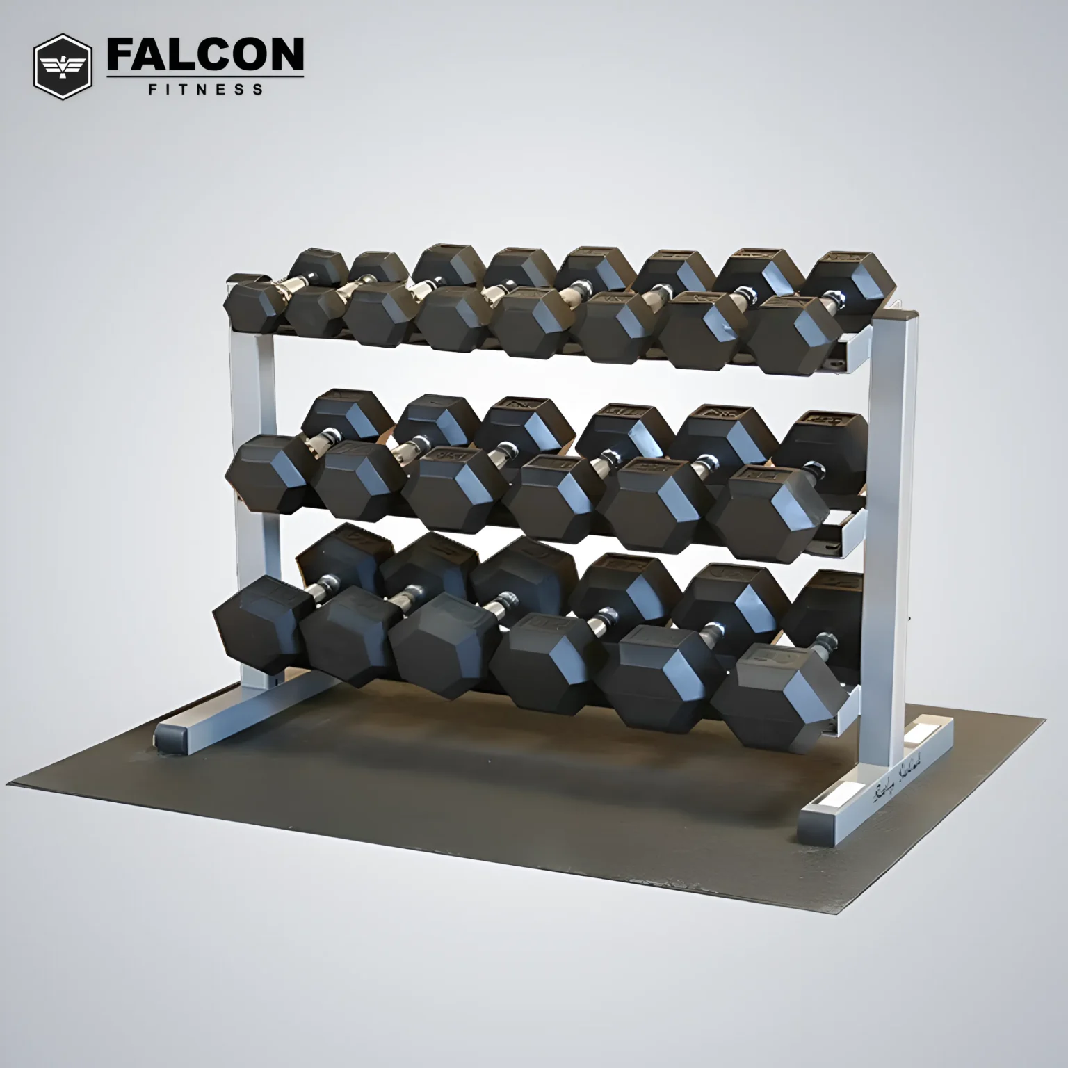 Mancuernas hexagonales con rack 50 libras