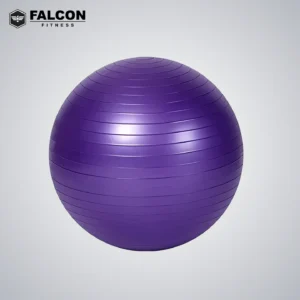 pelota para yoga falcon fitness maquinas de gym maquinas para hacer ejercicio gym en casa