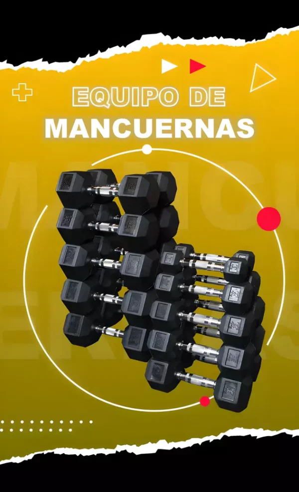aparatos de gimnasio falcon fitness equipo de mancuernas
