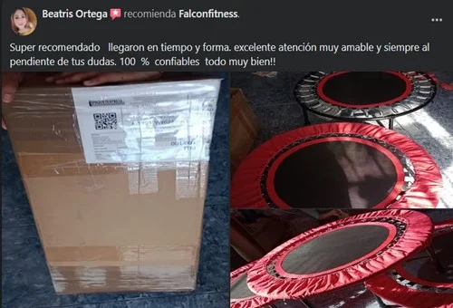 reseñas de clientes falcon fitness