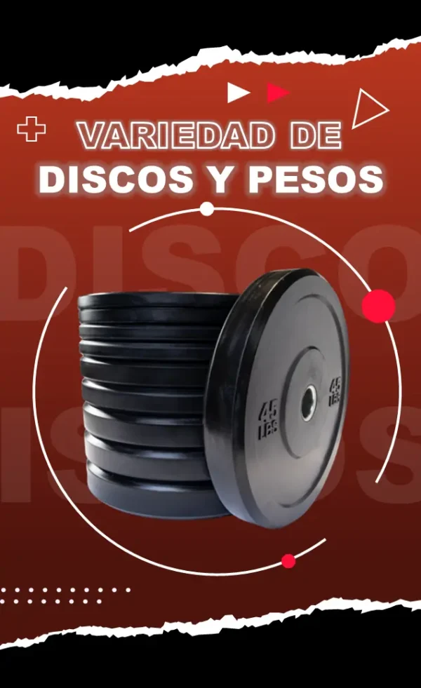 aparatos de gimnasio falcon fitness discos y pesos